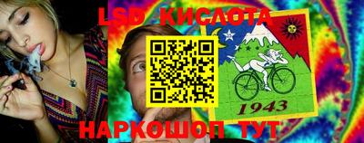 дмт Ипатово
