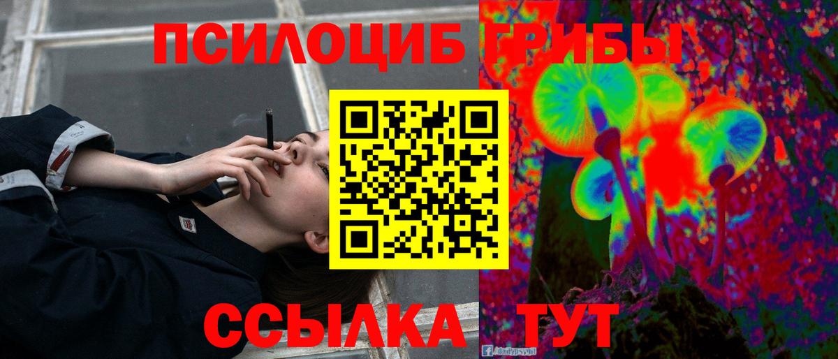 Галлюциногенные грибы Magic Shrooms Каспийск